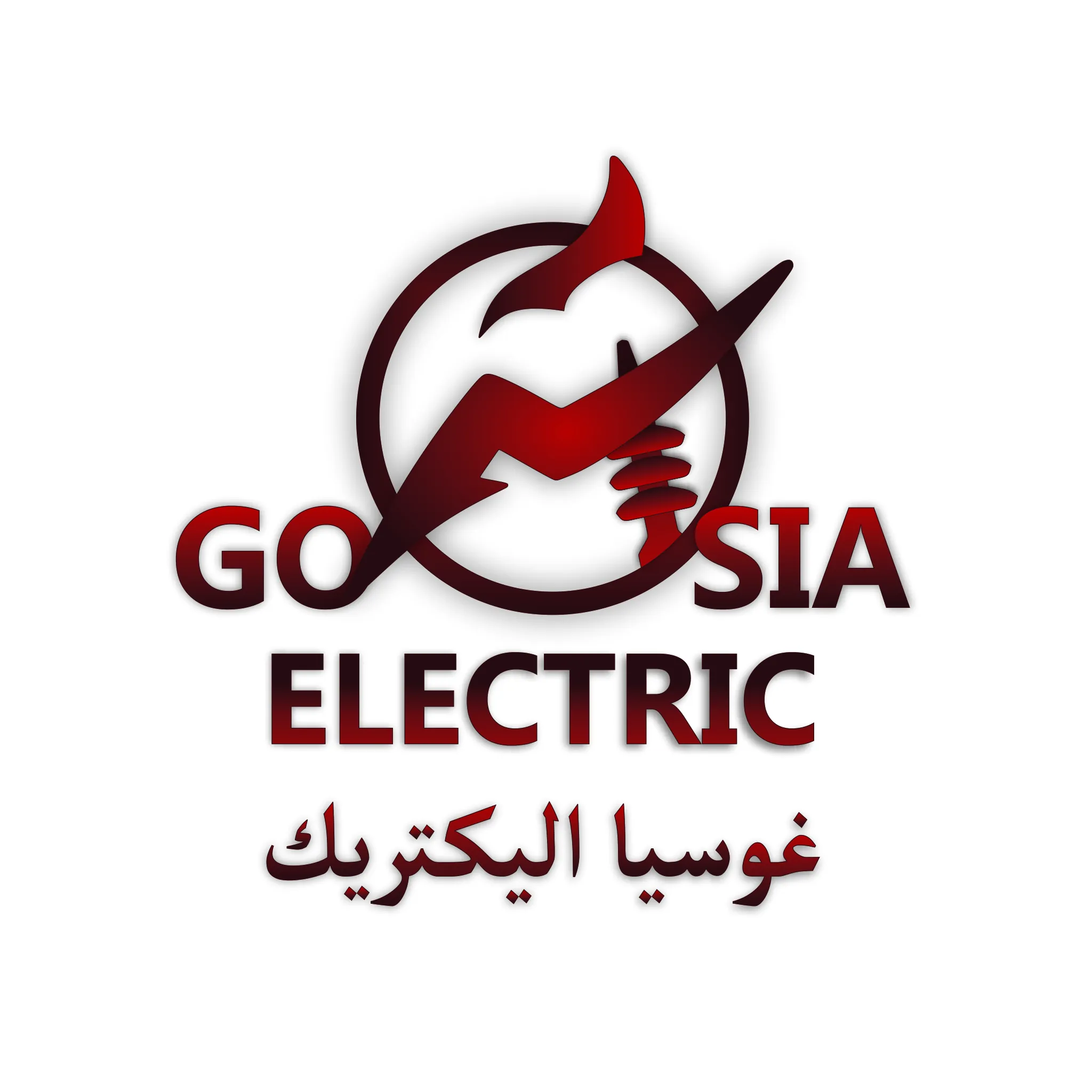 Goasia Electric